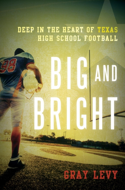 E-Book Big and Bright Gray Levy