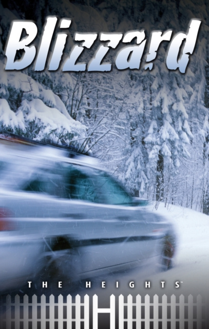 E-knjiga Blizzard Saddleback Educational Publishing Saddleback Educational Publishing