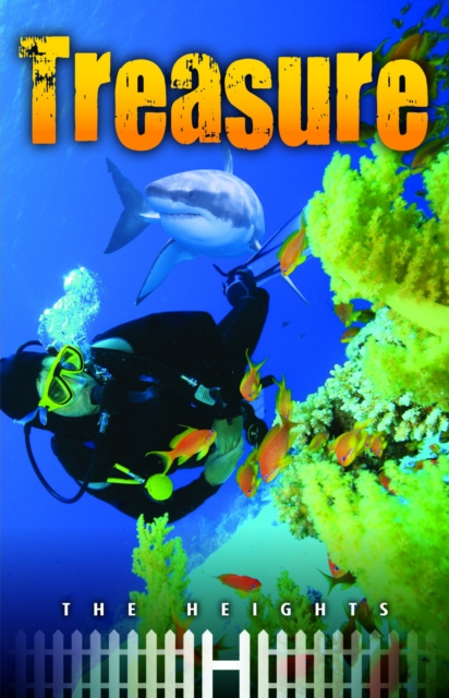 E-knjiga Treasure Saddleback Educational Publishing Saddleback Educational Publishing