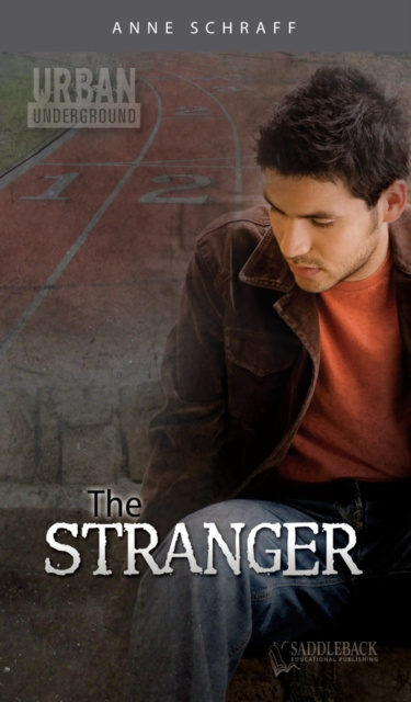 E-knjiga Stranger Anne Schraff Anne