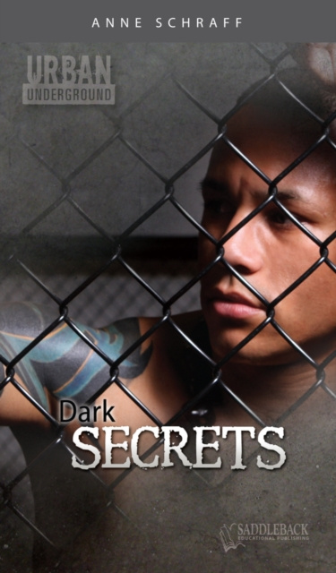 E-knjiga Dark Secrets Anne Schraff Anne