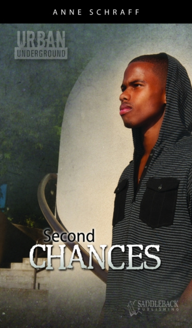 E-knjiga Second Chances Anne Schraff Anne