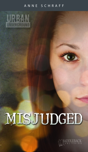 E-knjiga Misjudged Anne Schraff Anne