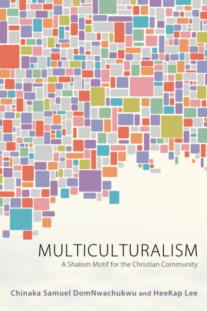 E-knjiga Multiculturalism Chinaka S. DomNwachukwu
