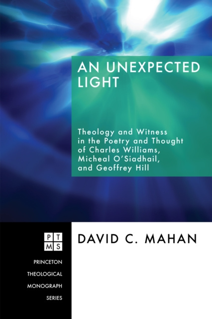 E-knjiga Unexpected Light David C. Mahan
