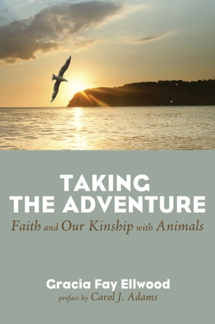 E-kniha Taking the Adventure Gracia Fay Ellwood