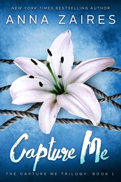 ebook Capture Me Anna Zaires