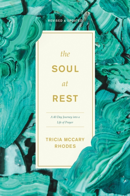 E-knjiga Soul at Rest Tricia McCary Rhodes