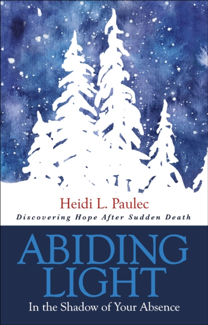 E-knjiga Abiding Light Heidi L. Paulec