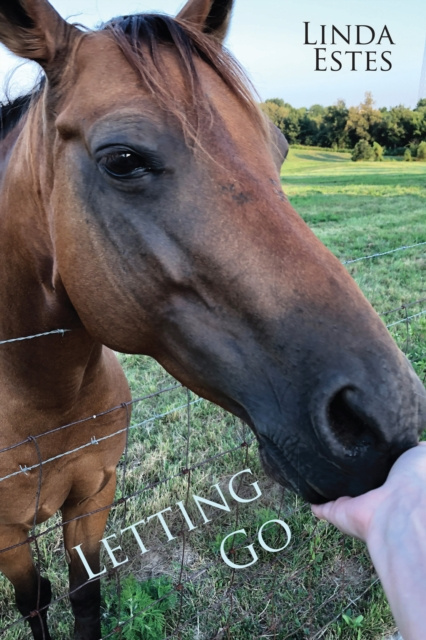 E-book Letting Go Linda Estes