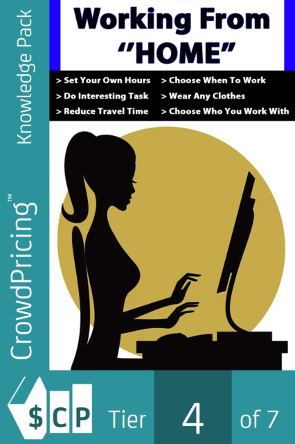 E-knjiga Working From Home John Hawkins