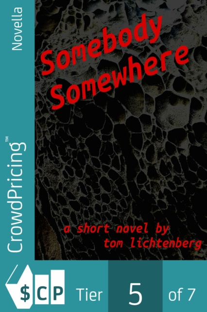 E-book Somebody Somewhere Tom Lichtenberg