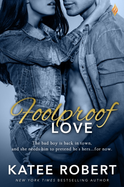 E-knjiga Foolproof Love Katee Robert
