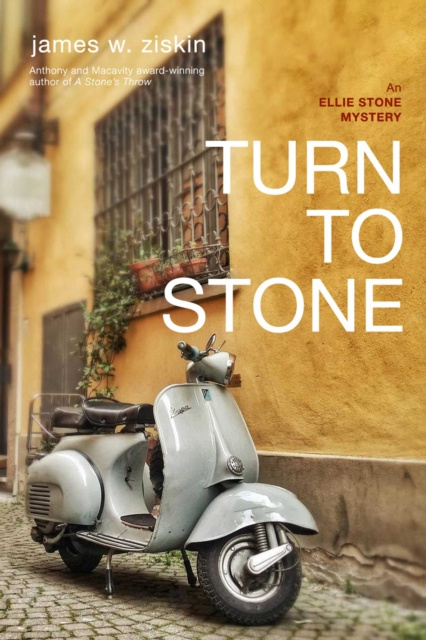 E-knjiga Turn to Stone James W. Ziskin