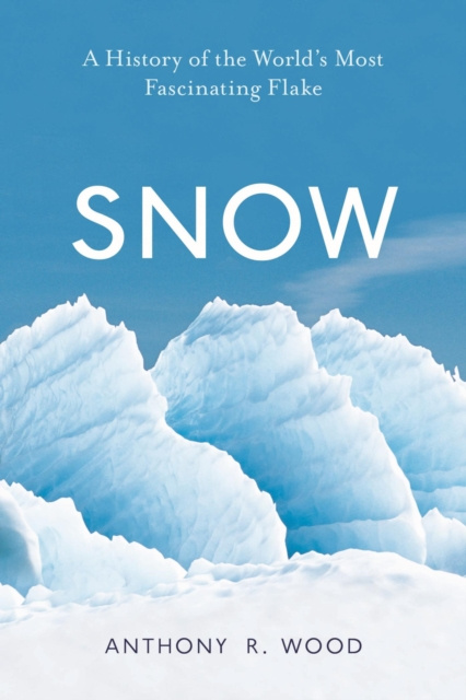 E-knjiga Snow Anthony R. Wood