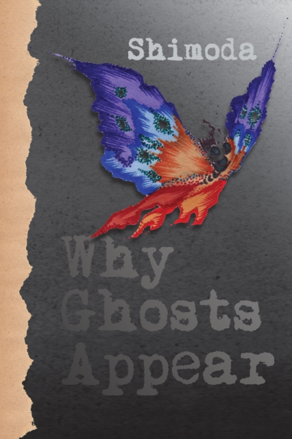 E-book Why Ghosts Appear Todd Shimoda
