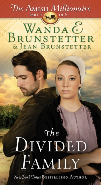 Livre numérique Divided Family Wanda E. Brunstetter