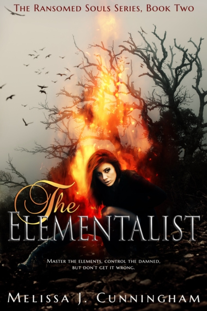 E-knjiga Elementalist Melissa J. Cunningham