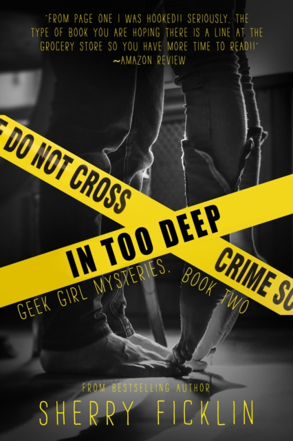E-book In Too Deep Sherry D. Ficklin