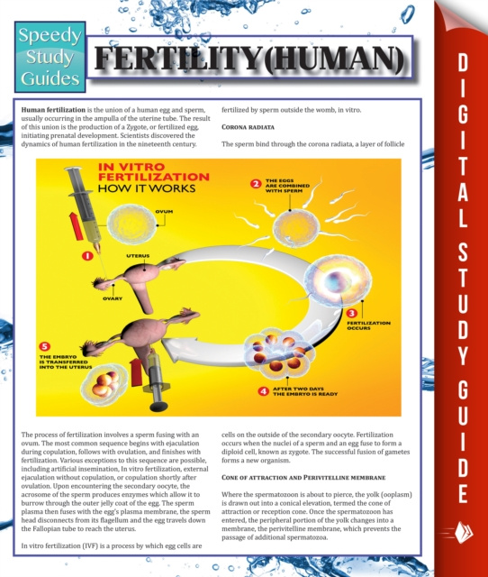 E-knjiga Fertility (Human) Speedy Publishing