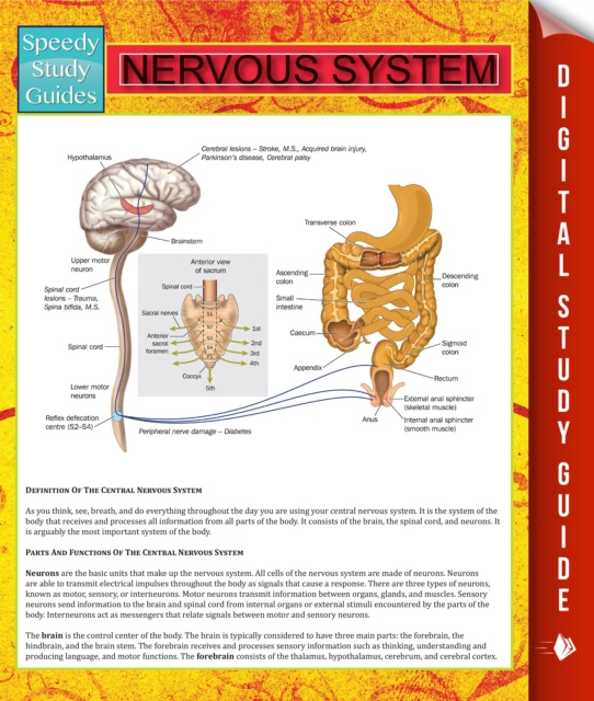 E-knjiga Nervous System Speedy Publishing