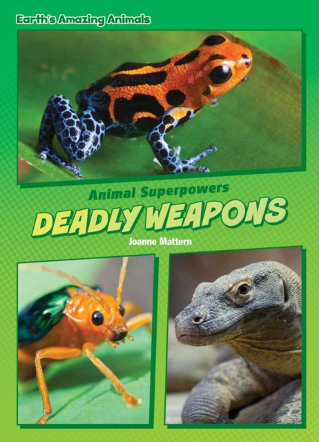 E-knjiga Deadly Weapons Joanne Mattern