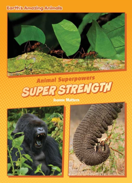 E-knjiga Super Strength Joanne Mattern