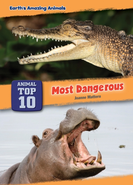 E-knjiga Most Dangerous Joanne Mattern