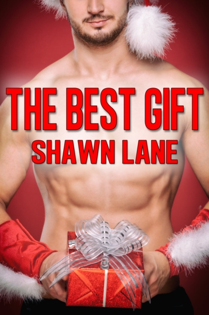 E-knjiga Best Gift Shawn Lane