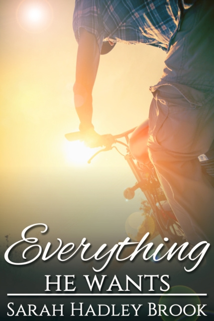E-book Everything He Wants Sarah Hadley Brook