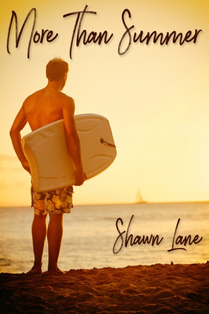 E-knjiga More Than Summer Shawn Lane
