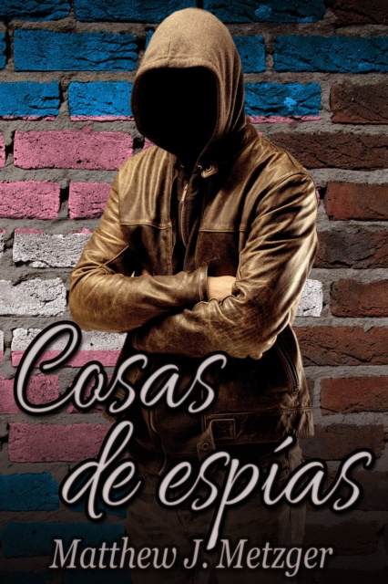 E-book Cosas de espias Matthew J. Metzger