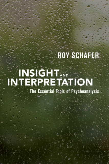 E-Book Insight and Interpretation Roy Schafer