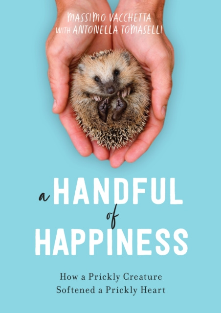 E-kniha Handful of Happiness Massimo Vacchetta