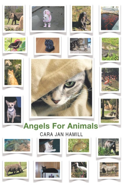 E-knjiga Angels for Animals Cara Jan Hamill