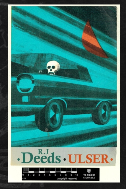 E-knjiga Ulser R.J. Deeds