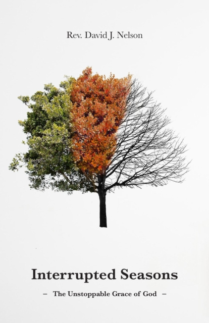 E-knjiga Interrupted Seasons David J Nelson