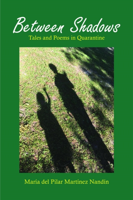 E-knjiga Between Shadows Maria del Pilar Martinez Nandin