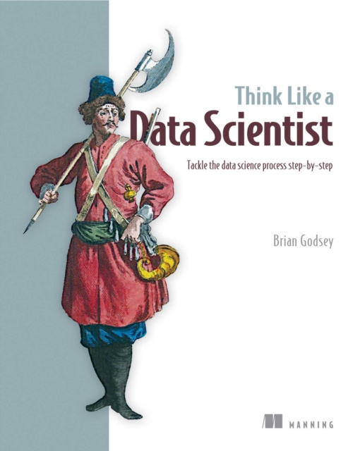 E-book Think Like a Data Scientist Brian Godsey