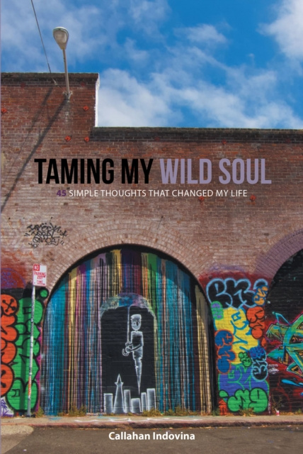 E-book Taming My Wild Soul Callahan Indovina