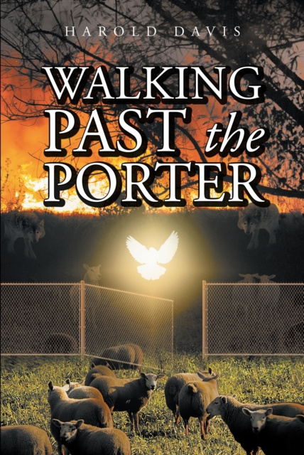 E-kniha Walking Past the Porter Harold Davis