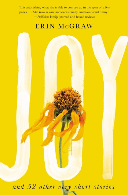 E-knjiga Joy Erin McGraw