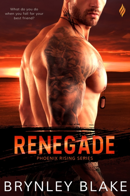 E-knjiga Renegade Brynley Blake