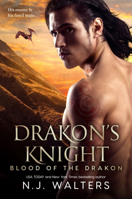 E-knjiga Drakon's Knight N.J. Walters