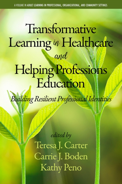 E-kniha Transformative Learning in Healthcare and Helping Professions Education Teresa J Carter