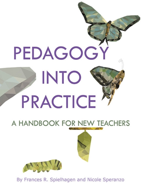 E-knjiga Pedagogy into Practice Frances R Spielhagen