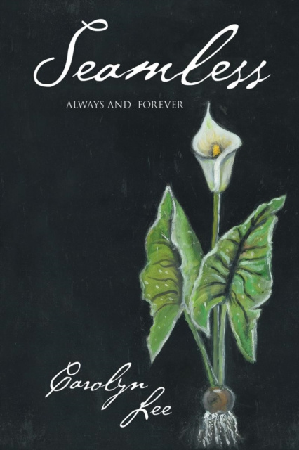 E-book Seamless Carolyn Lee