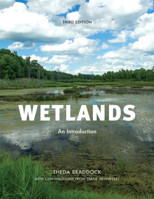 E-Book Wetlands Theda Braddock
