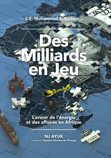 E-book Des milliards en jeu NJ Ayuk