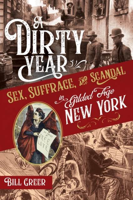 E-kniha Dirty Year Bill Greer